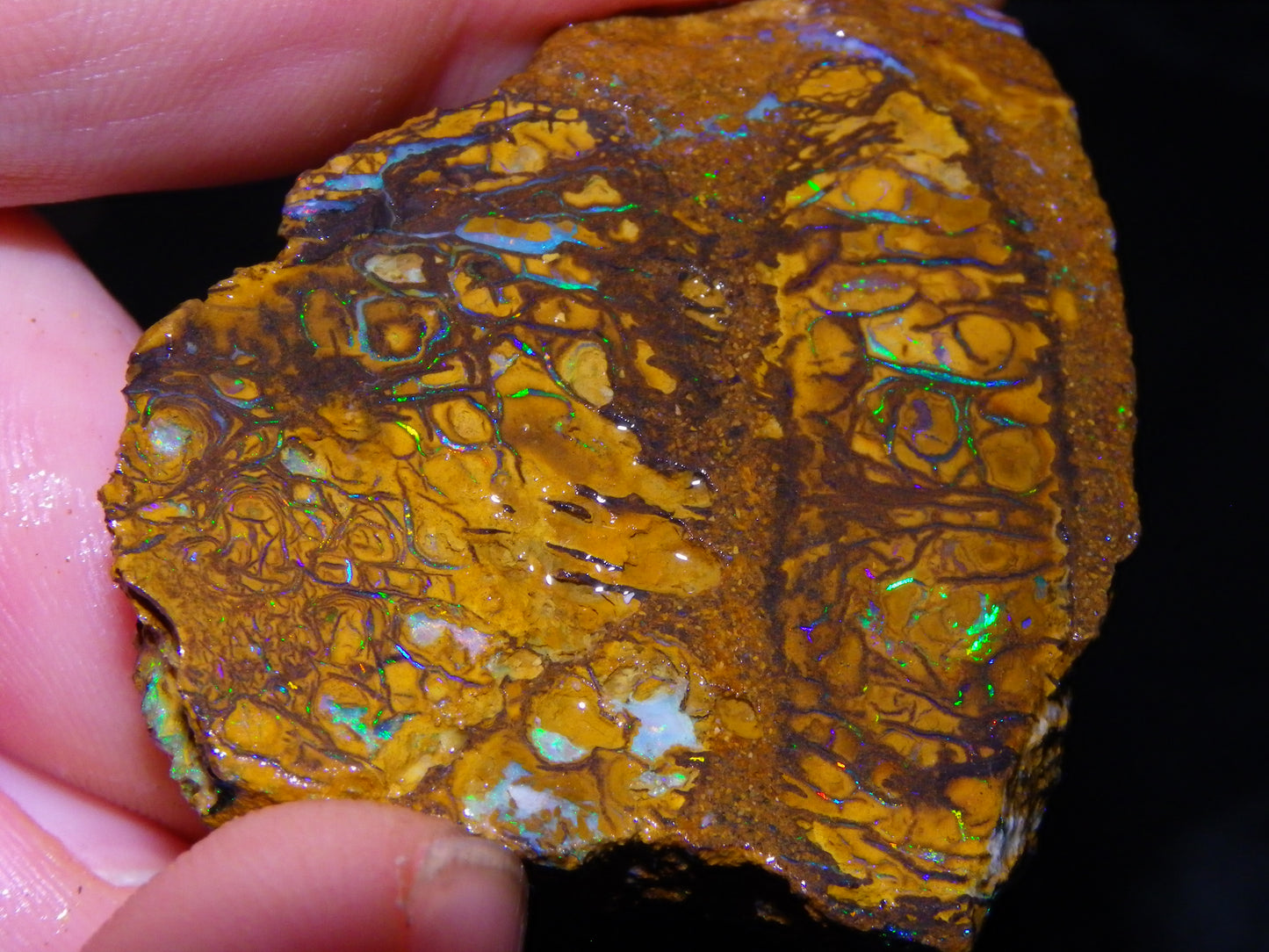 4 Nice Rough/sliced Koroit Opals 429cts Queensland Australia Blue/Green Fires/Patterns