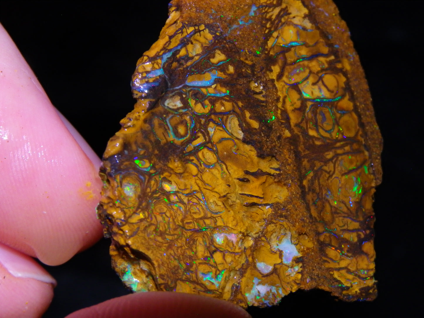 4 Nice Rough/sliced Koroit Opals 429cts Queensland Australia Blue/Green Fires/Patterns