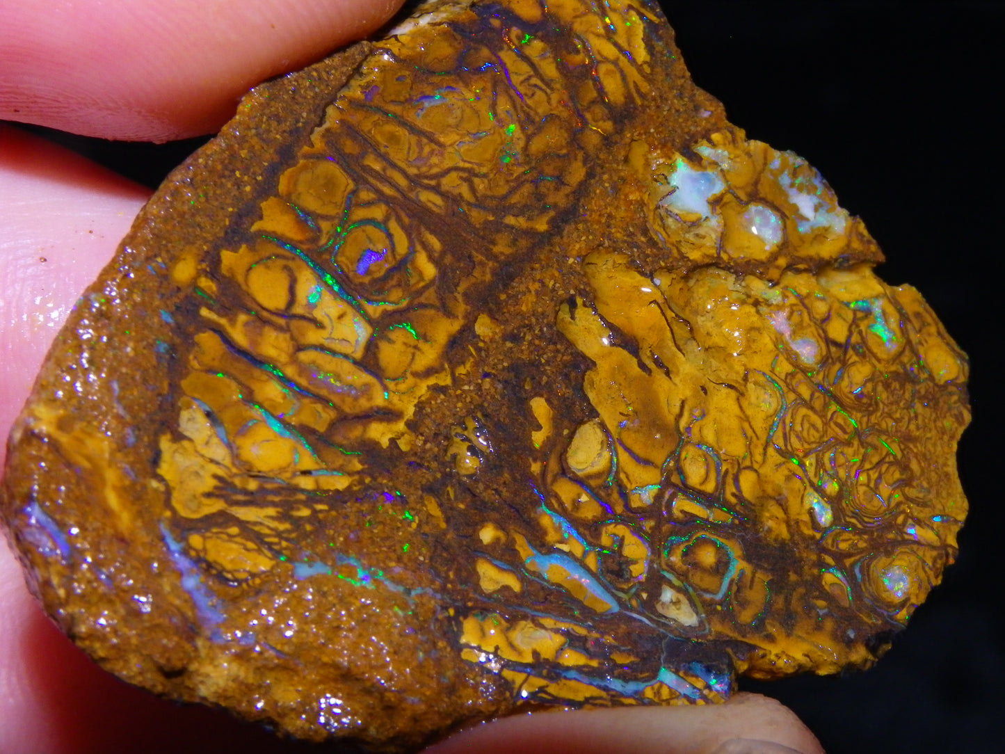 4 Nice Rough/sliced Koroit Opals 429cts Queensland Australia Blue/Green Fires/Patterns