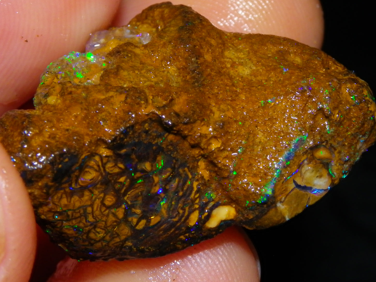 4 Nice Rough/sliced Koroit Opals 429cts Queensland Australia Blue/Green Fires/Patterns