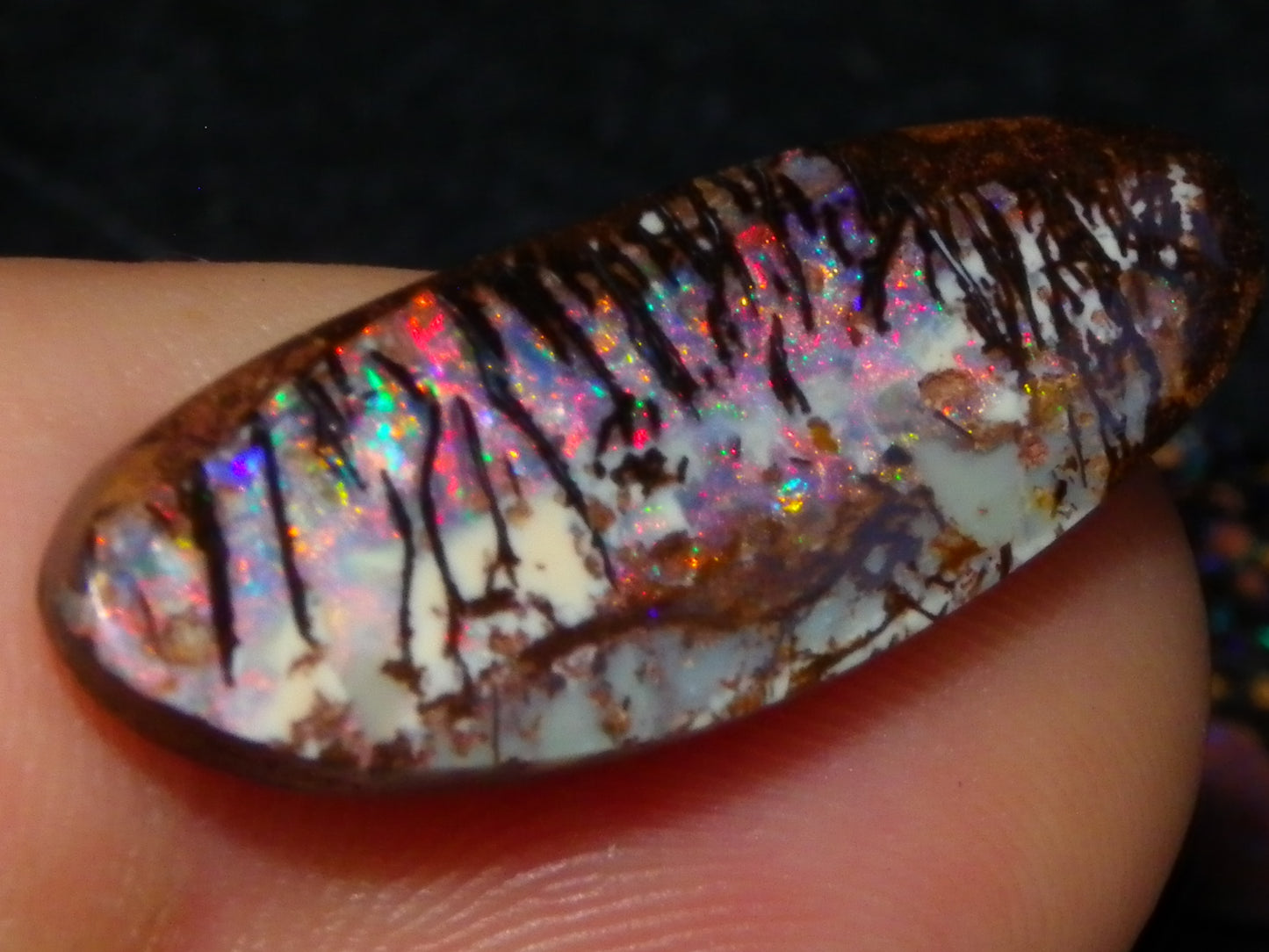 3 Nice Gem Cut/Polished Koroit Opals 35.31cts 2 Wood Replacement 1 Pattern Red/Green Fires