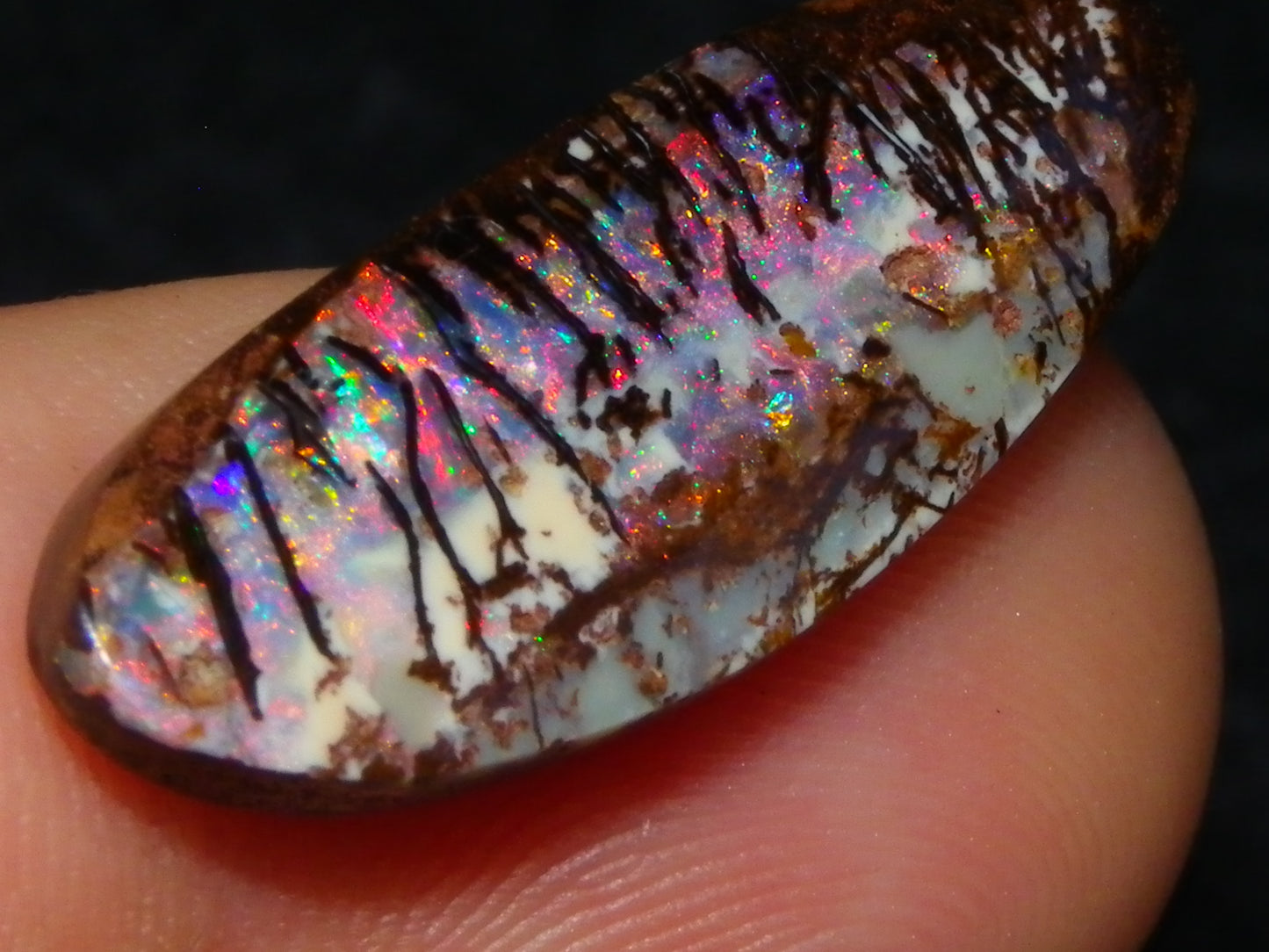 3 Nice Gem Cut/Polished Koroit Opals 35.31cts 2 Wood Replacement 1 Pattern Red/Green Fires