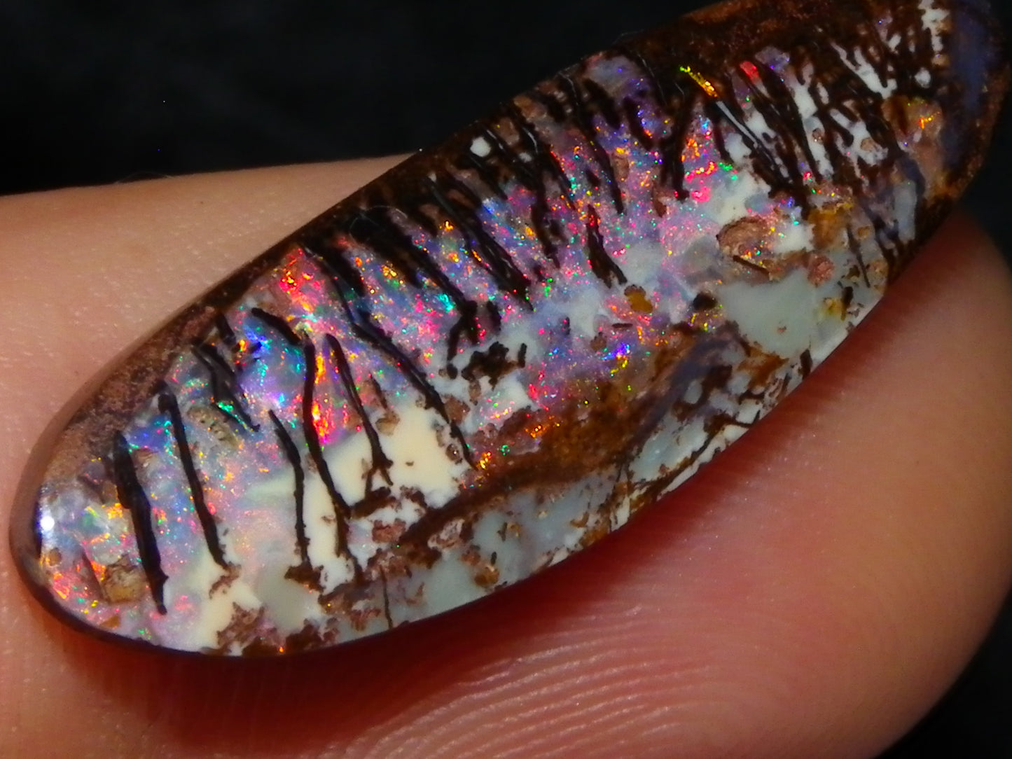 3 Nice Gem Cut/Polished Koroit Opals 35.31cts 2 Wood Replacement 1 Pattern Red/Green Fires