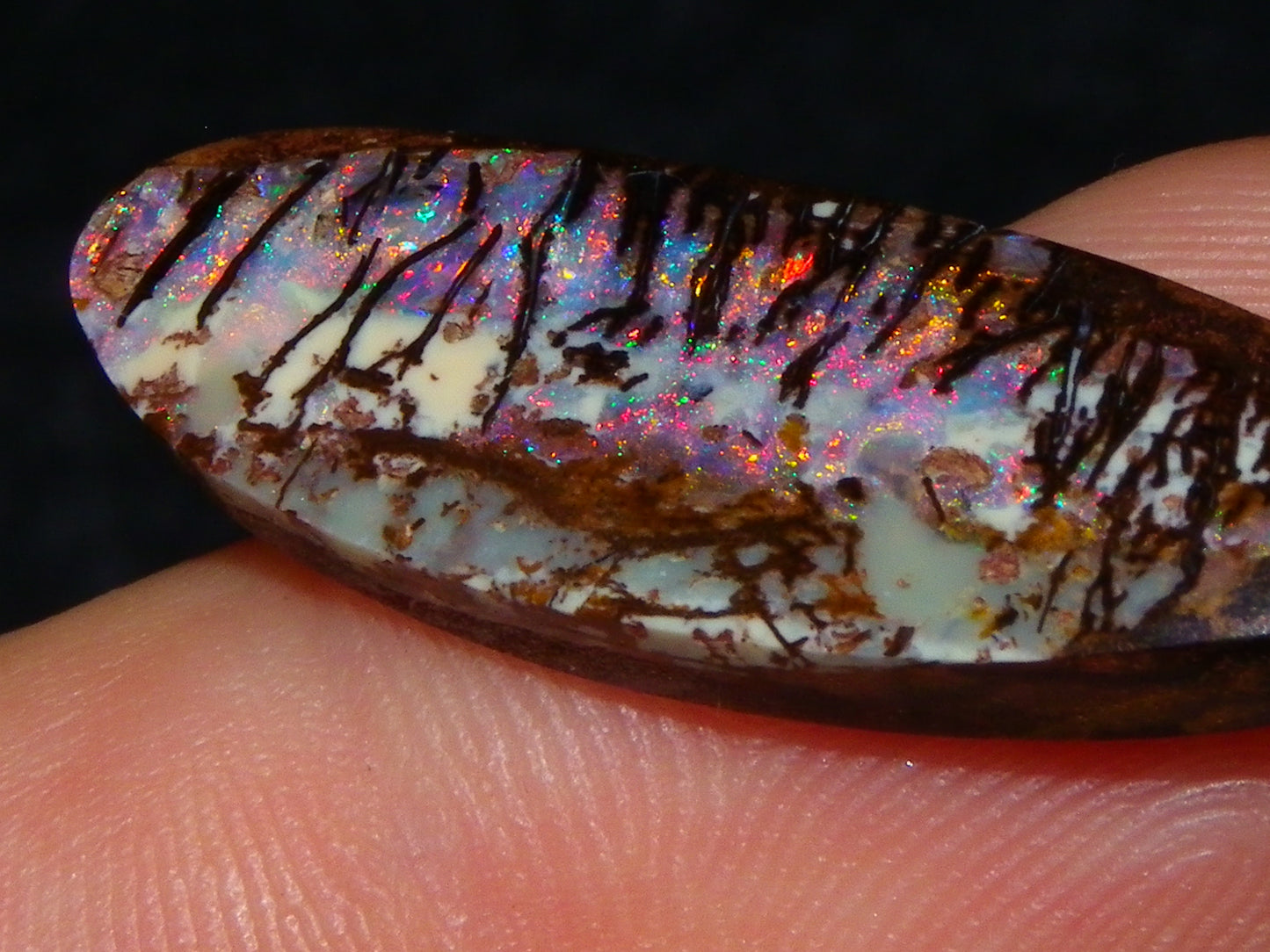 3 Nice Gem Cut/Polished Koroit Opals 35.31cts 2 Wood Replacement 1 Pattern Red/Green Fires