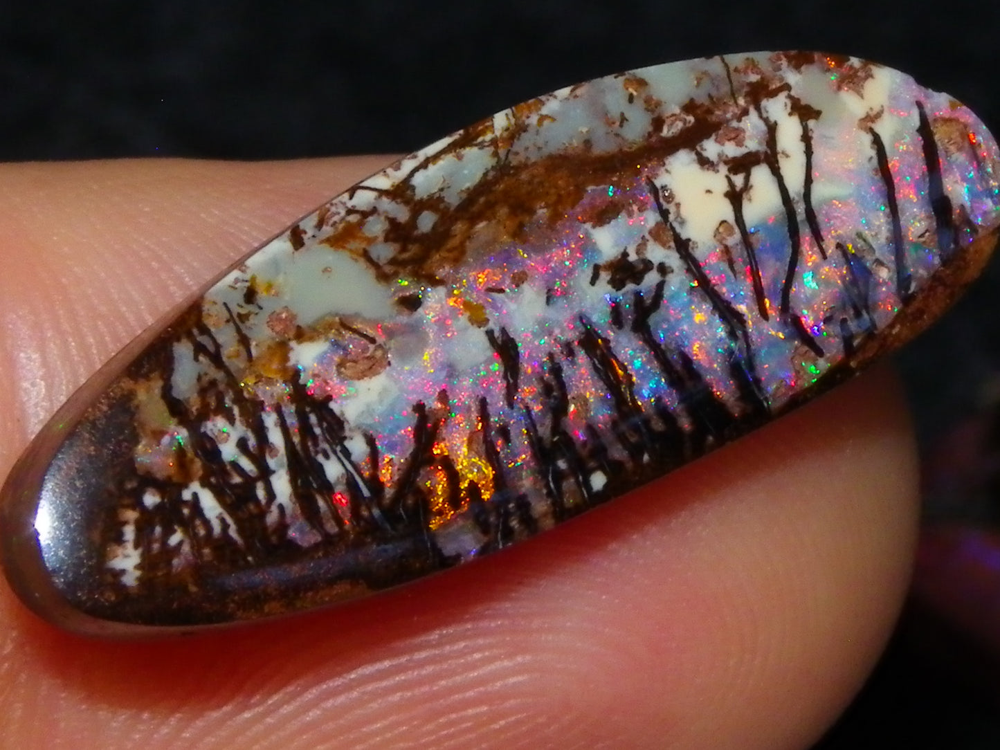 3 Nice Gem Cut/Polished Koroit Opals 35.31cts 2 Wood Replacement 1 Pattern Red/Green Fires