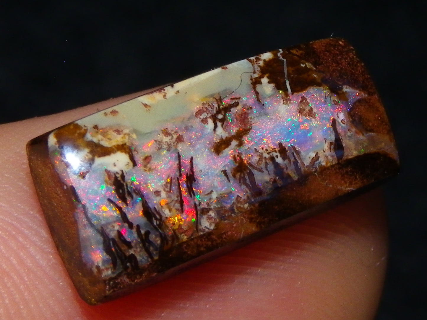 3 Nice Gem Cut/Polished Koroit Opals 35.31cts 2 Wood Replacement 1 Pattern Red/Green Fires