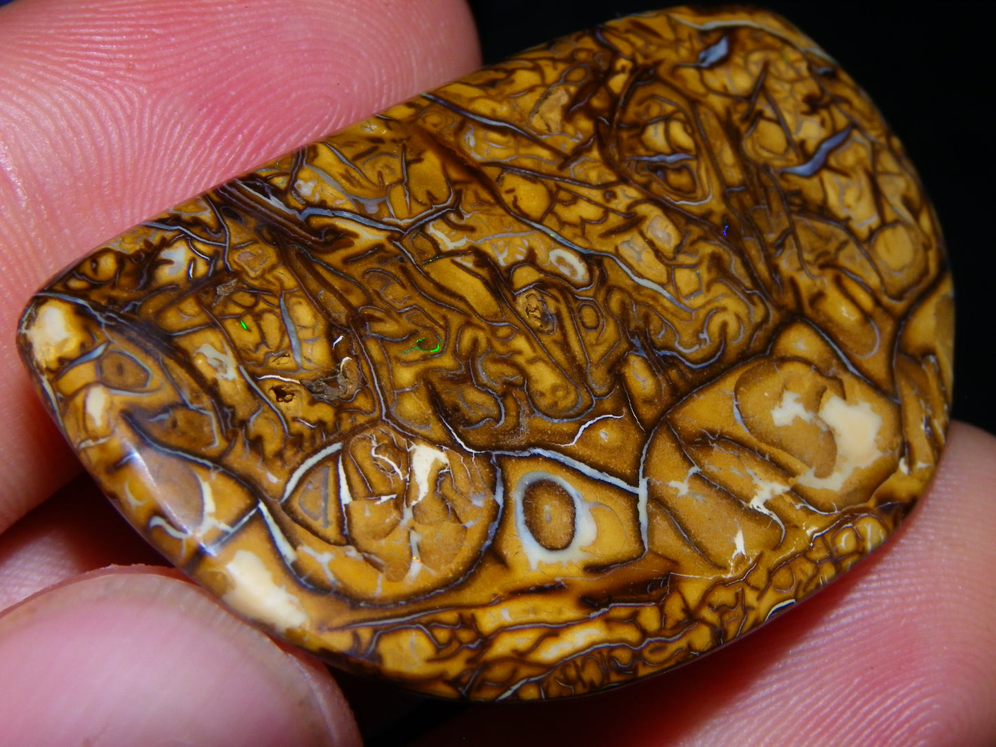 3 Nice Cut/Polished Koroit Opals 263cts Patterns/Some Fires Queensland Australia