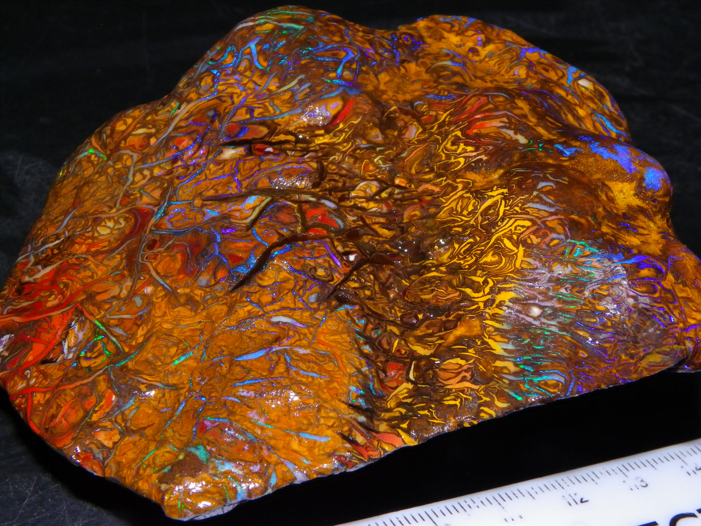 Huge, Gem Rough/Rubbed Koroit Opal Specimen 2170cts (434grams) Fires/Patterns Queensland Australia