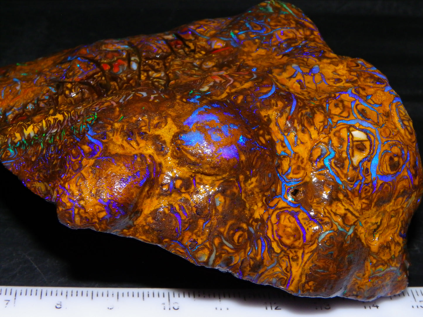 Huge, Gem Rough/Rubbed Koroit Opal Specimen 2170cts (434grams) Fires/Patterns Queensland Australia
