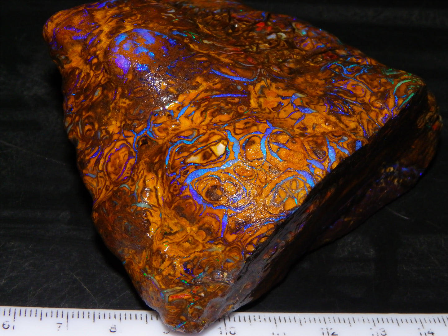 Huge, Gem Rough/Rubbed Koroit Opal Specimen 2170cts (434grams) Fires/Patterns Queensland Australia