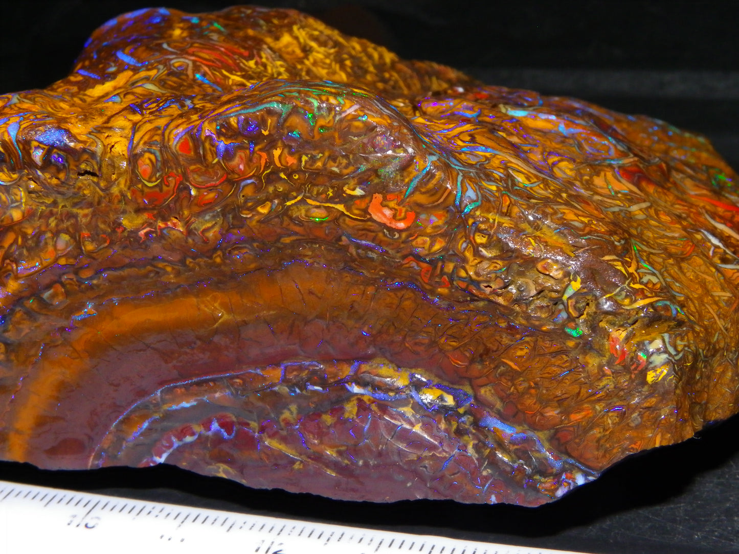 Huge, Gem Rough/Rubbed Koroit Opal Specimen 2170cts (434grams) Fires/Patterns Queensland Australia