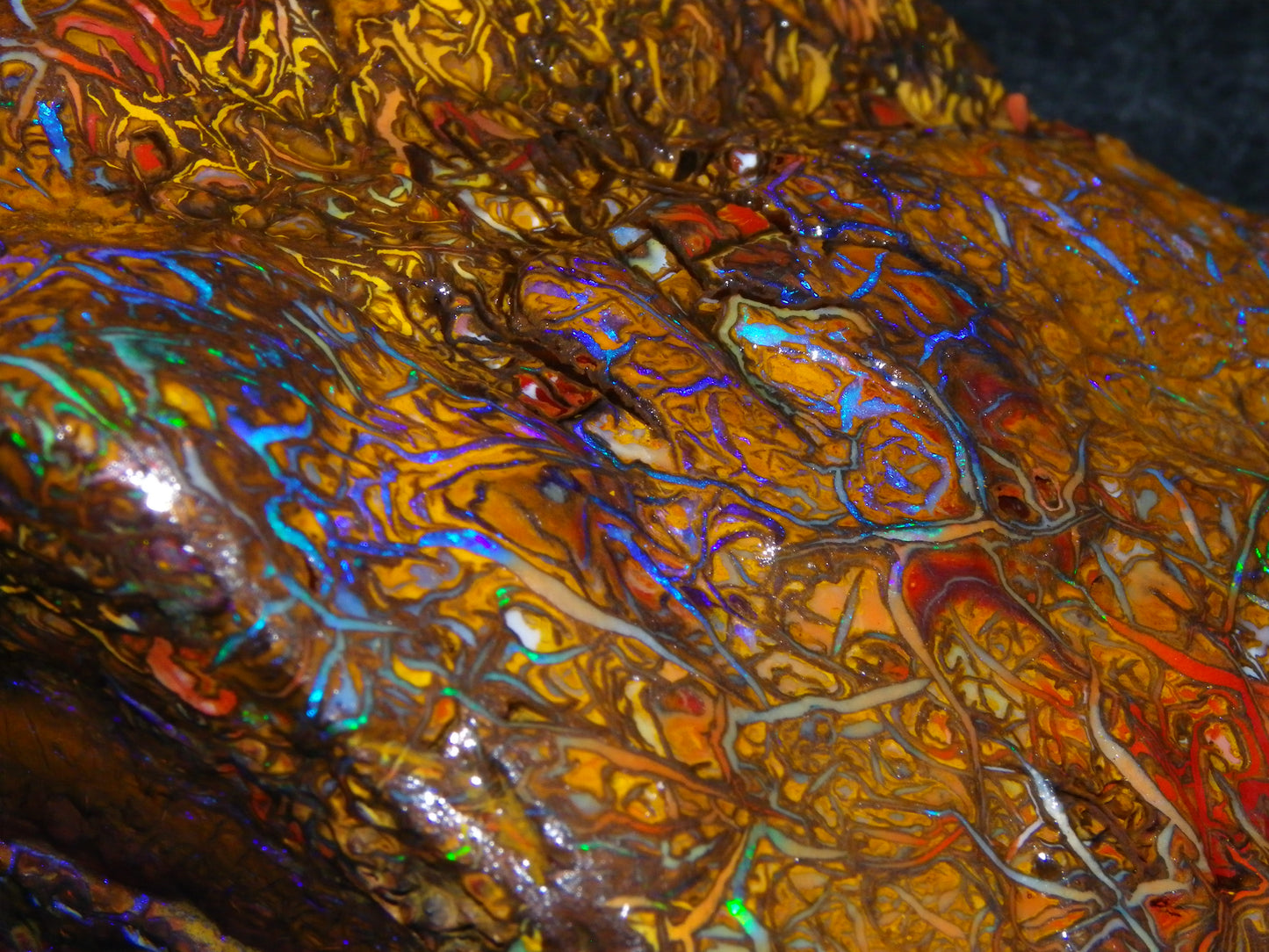 Huge, Gem Rough/Rubbed Koroit Opal Specimen 2170cts (434grams) Fires/Patterns Queensland Australia