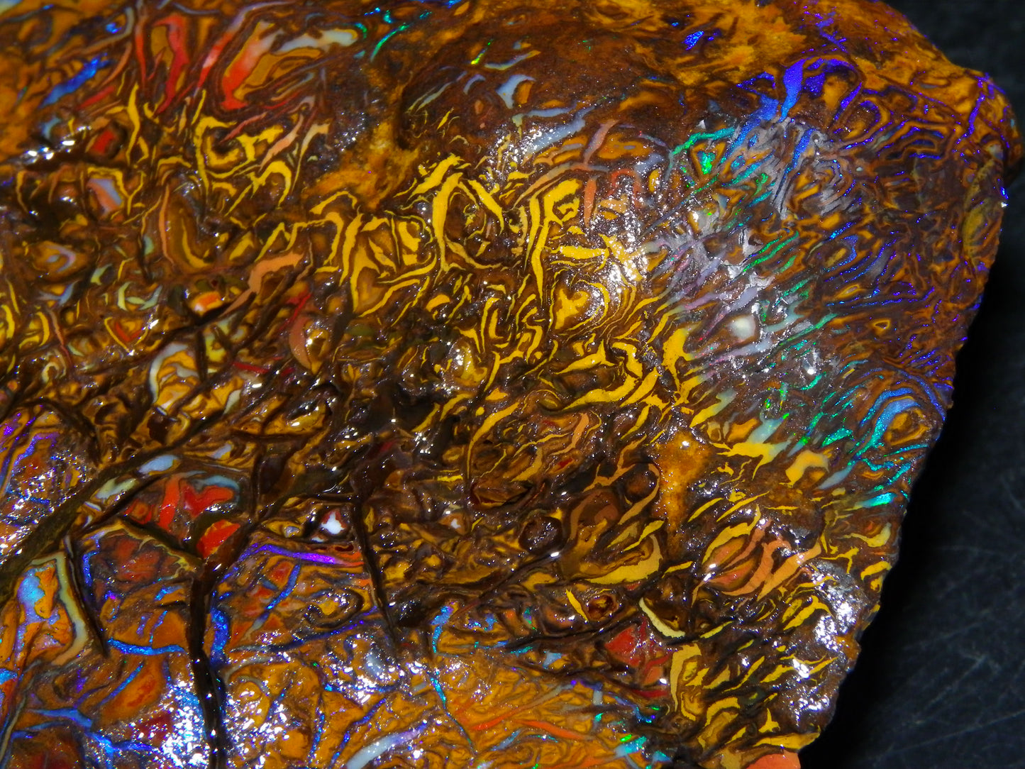 Huge, Gem Rough/Rubbed Koroit Opal Specimen 2170cts (434grams) Fires/Patterns Queensland Australia