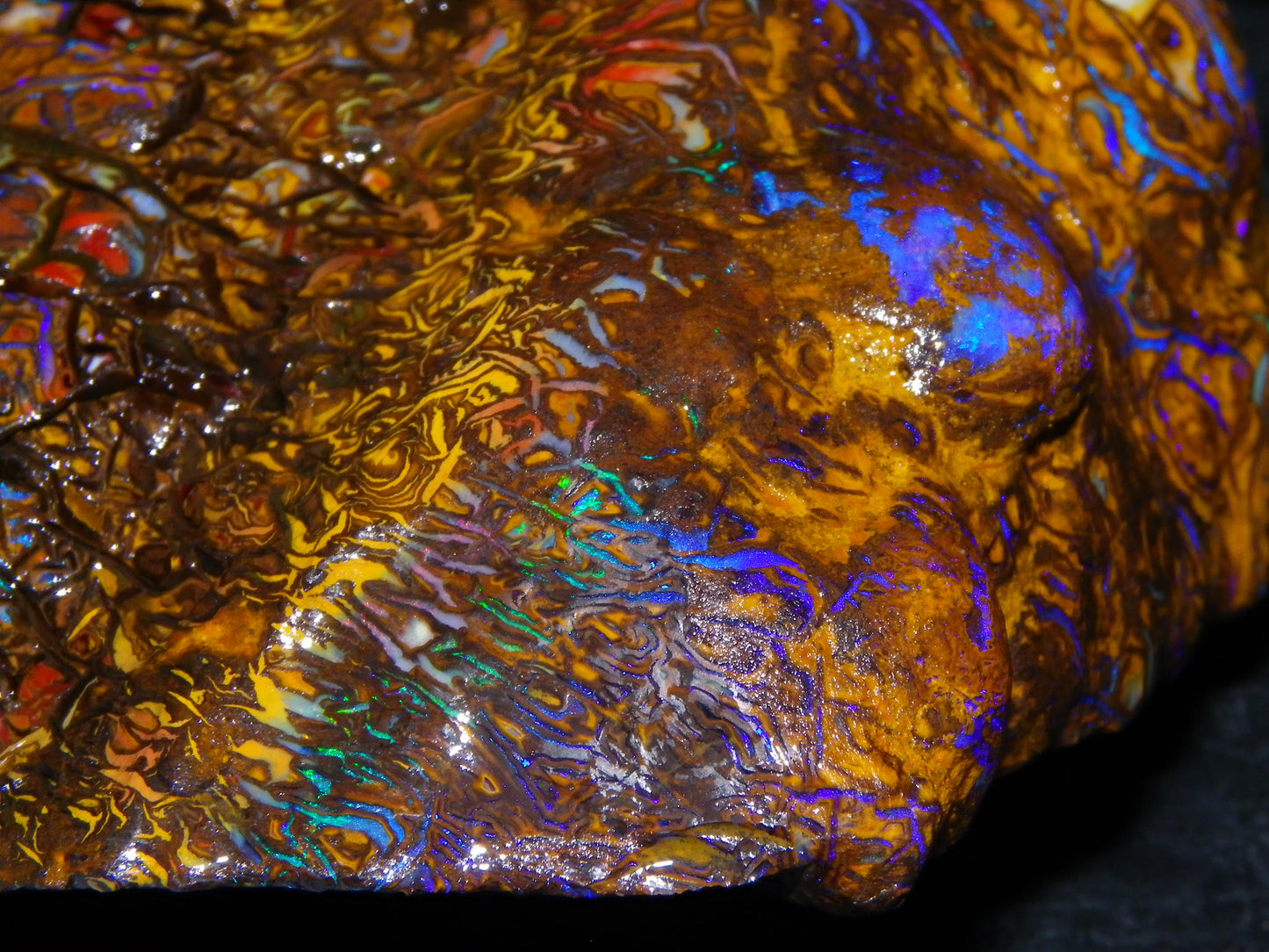 Huge, Gem Rough/Rubbed Koroit Opal Specimen 2170cts (434grams) Fires/Patterns Queensland Australia