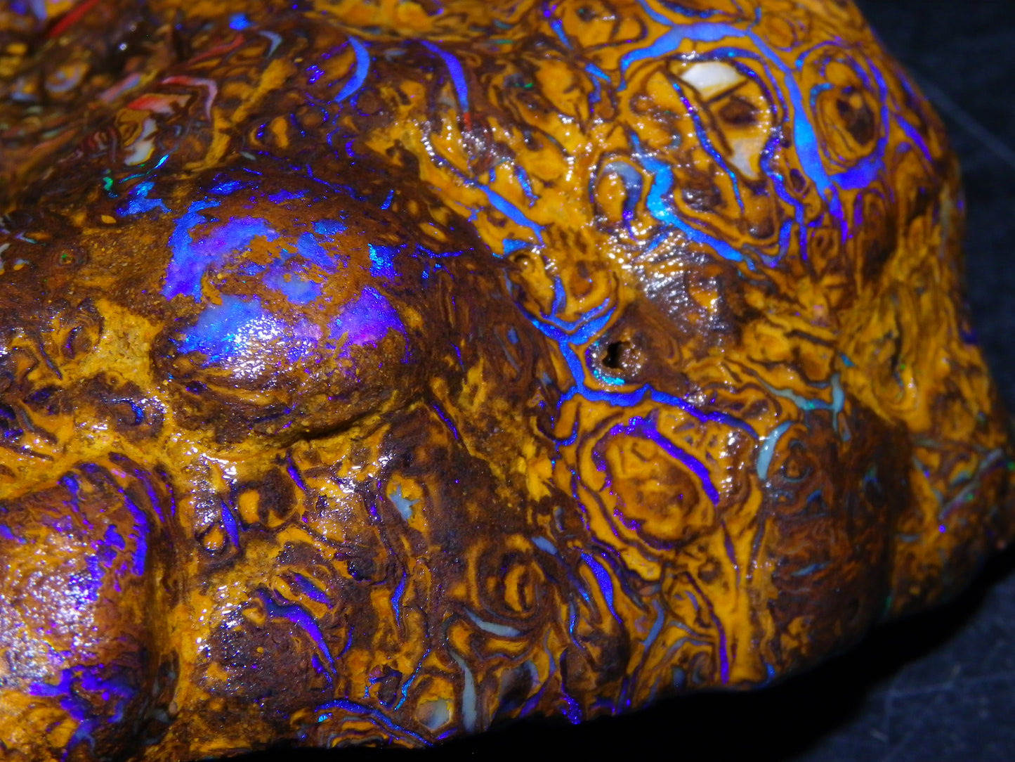 Huge, Gem Rough/Rubbed Koroit Opal Specimen 2170cts (434grams) Fires/Patterns Queensland Australia