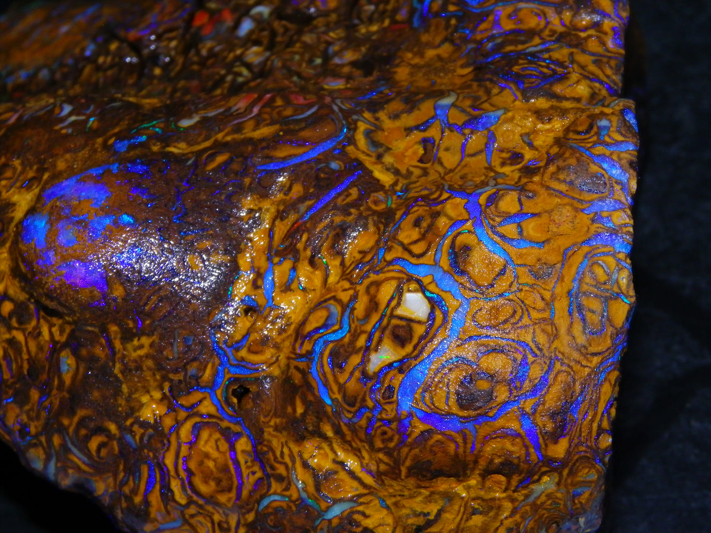 Huge, Gem Rough/Rubbed Koroit Opal Specimen 2170cts (434grams) Fires/Patterns Queensland Australia