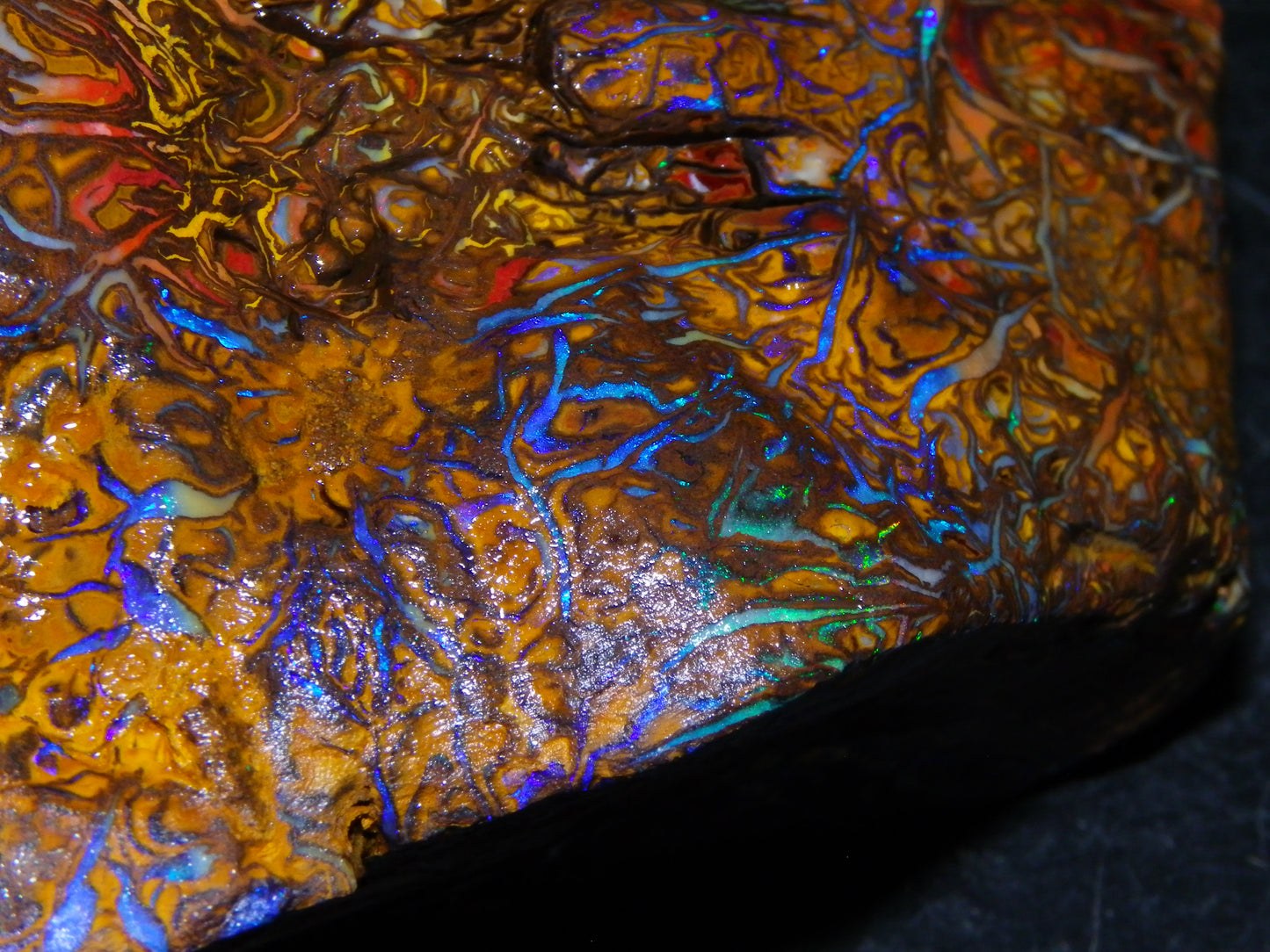 Huge, Gem Rough/Rubbed Koroit Opal Specimen 2170cts (434grams) Fires/Patterns Queensland Australia