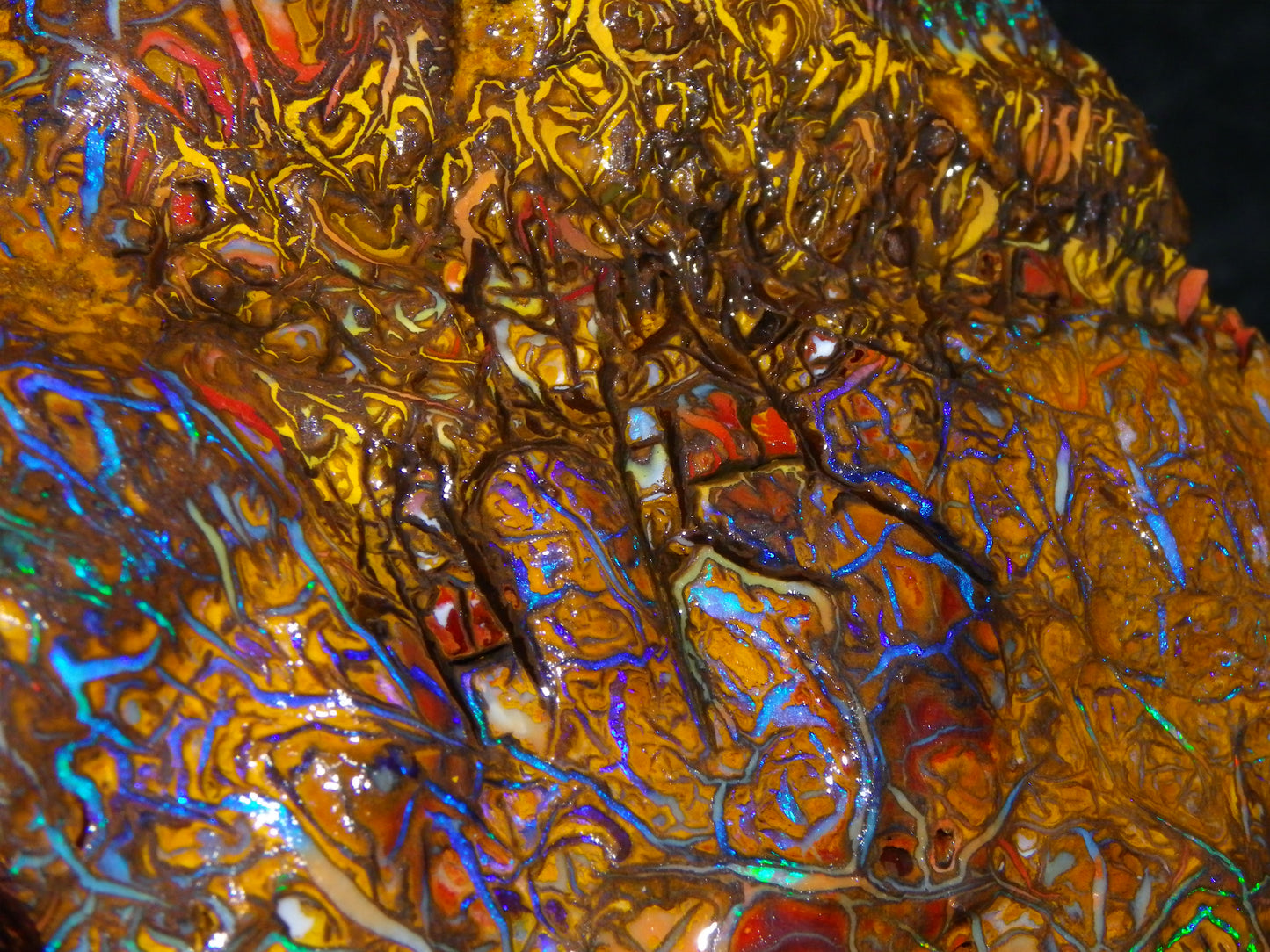 Huge, Gem Rough/Rubbed Koroit Opal Specimen 2170cts (434grams) Fires/Patterns Queensland Australia