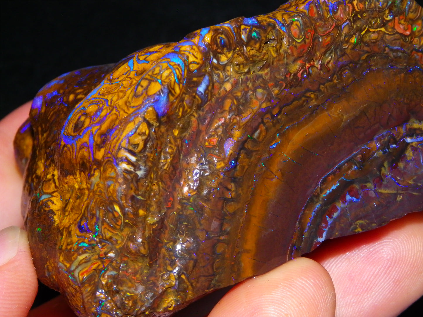 Huge, Gem Rough/Rubbed Koroit Opal Specimen 2170cts (434grams) Fires/Patterns Queensland Australia