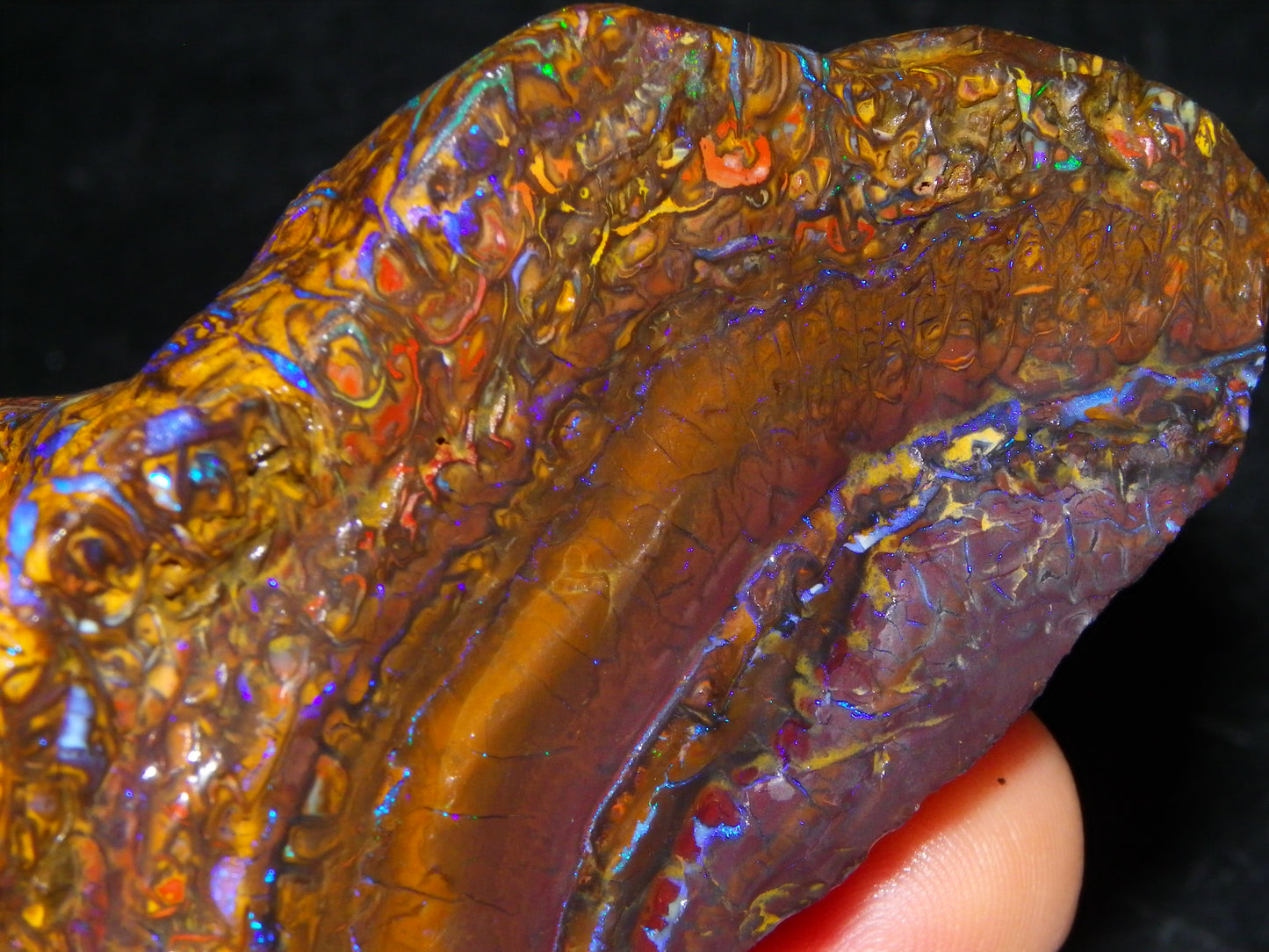 Huge, Gem Rough/Rubbed Koroit Opal Specimen 2170cts (434grams) Fires/Patterns Queensland Australia