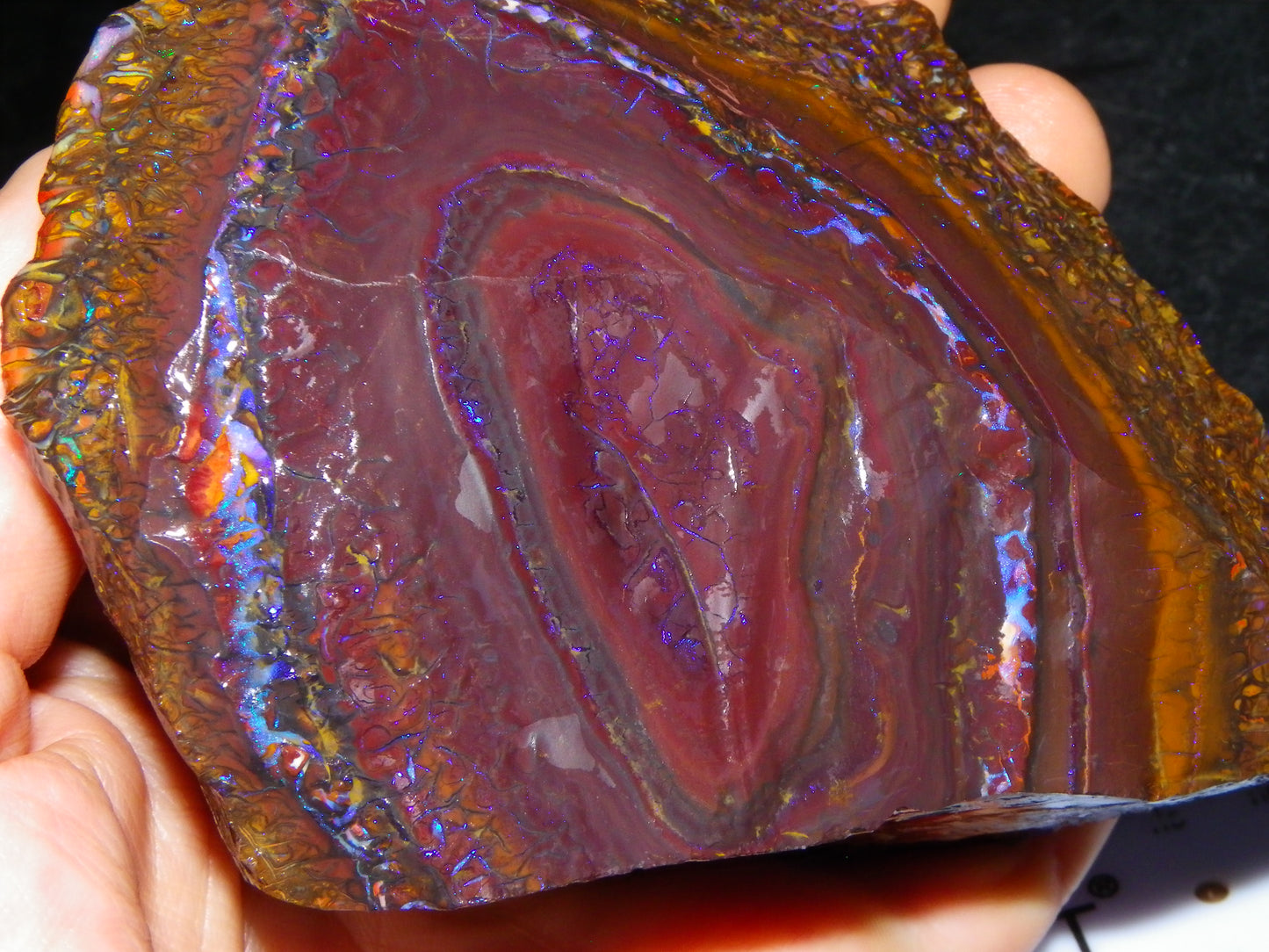 Huge, Gem Rough/Rubbed Koroit Opal Specimen 2170cts (434grams) Fires/Patterns Queensland Australia