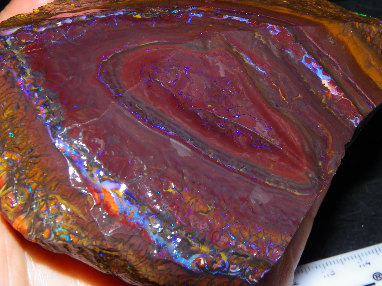 Huge, Gem Rough/Rubbed Koroit Opal Specimen 2170cts (434grams) Fires/Patterns Queensland Australia