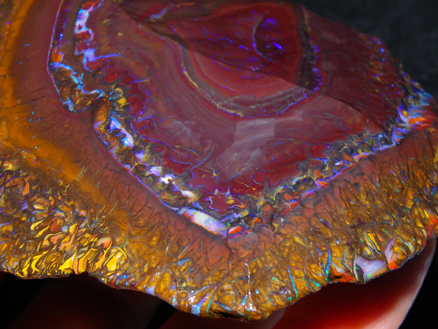 Huge, Gem Rough/Rubbed Koroit Opal Specimen 2170cts (434grams) Fires/Patterns Queensland Australia