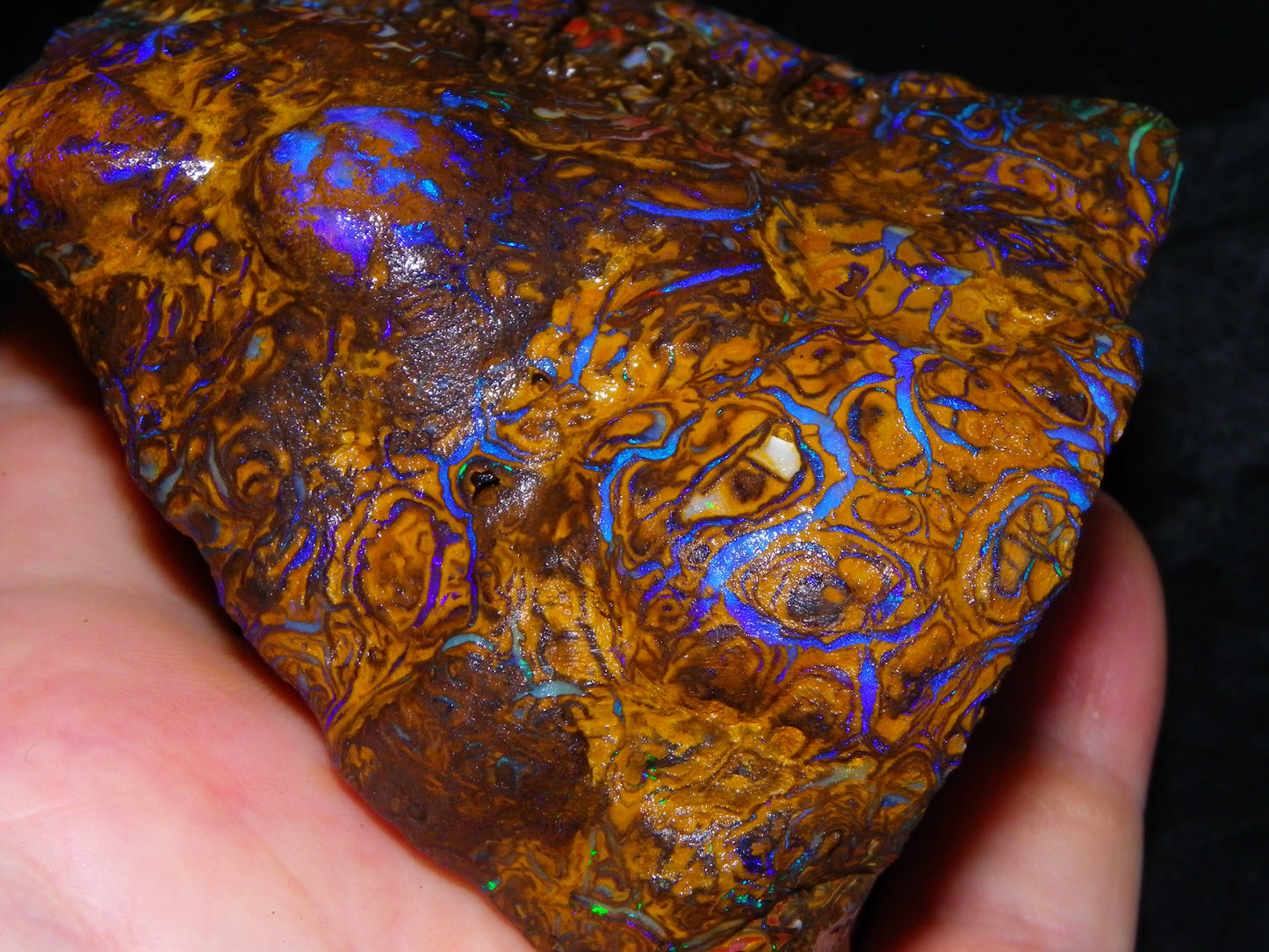 Huge, Gem Rough/Rubbed Koroit Opal Specimen 2170cts (434grams) Fires/Patterns Queensland Australia