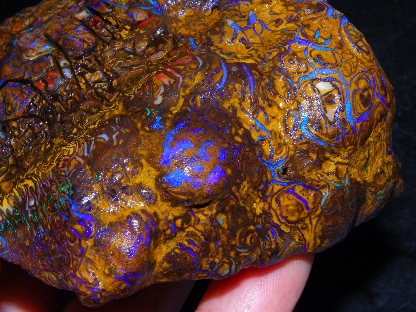 Huge, Gem Rough/Rubbed Koroit Opal Specimen 2170cts (434grams) Fires/Patterns Queensland Australia