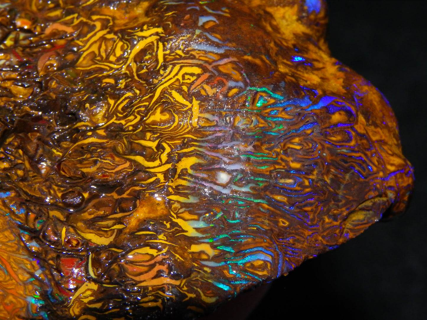 Huge, Gem Rough/Rubbed Koroit Opal Specimen 2170cts (434grams) Fires/Patterns Queensland Australia