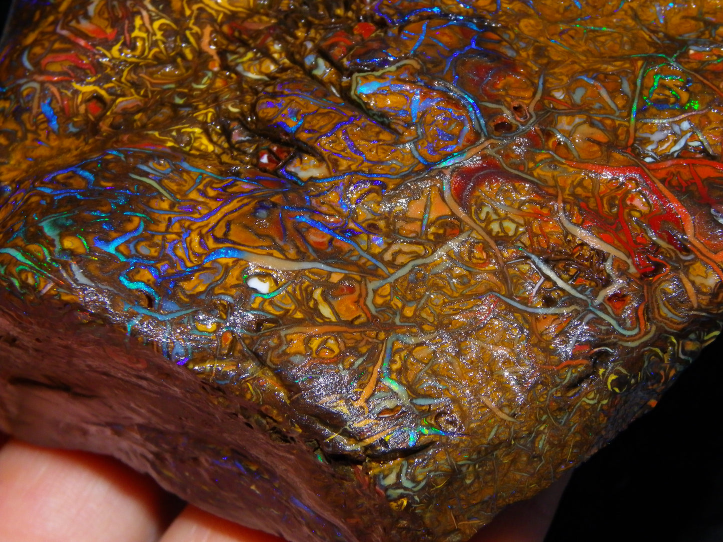 Huge, Gem Rough/Rubbed Koroit Opal Specimen 2170cts (434grams) Fires/Patterns Queensland Australia