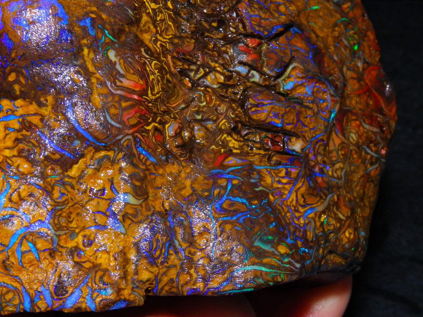 Huge, Gem Rough/Rubbed Koroit Opal Specimen 2170cts (434grams) Fires/Patterns Queensland Australia