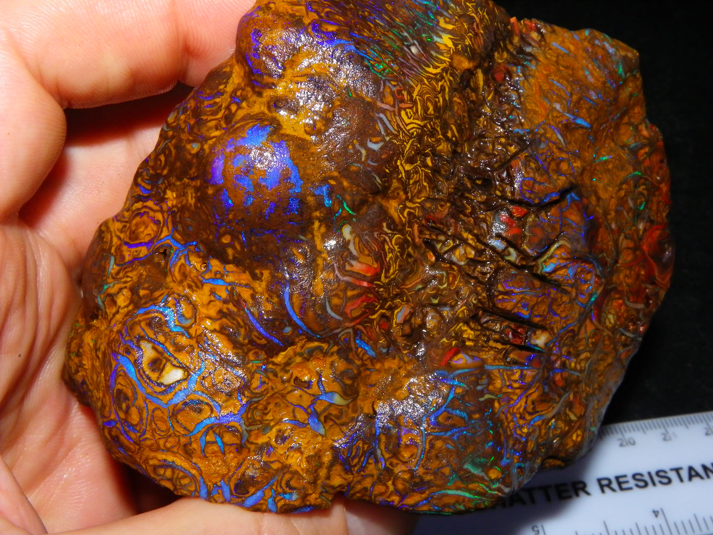 Huge, Gem Rough/Rubbed Koroit Opal Specimen 2170cts (434grams) Fires/Patterns Queensland Australia