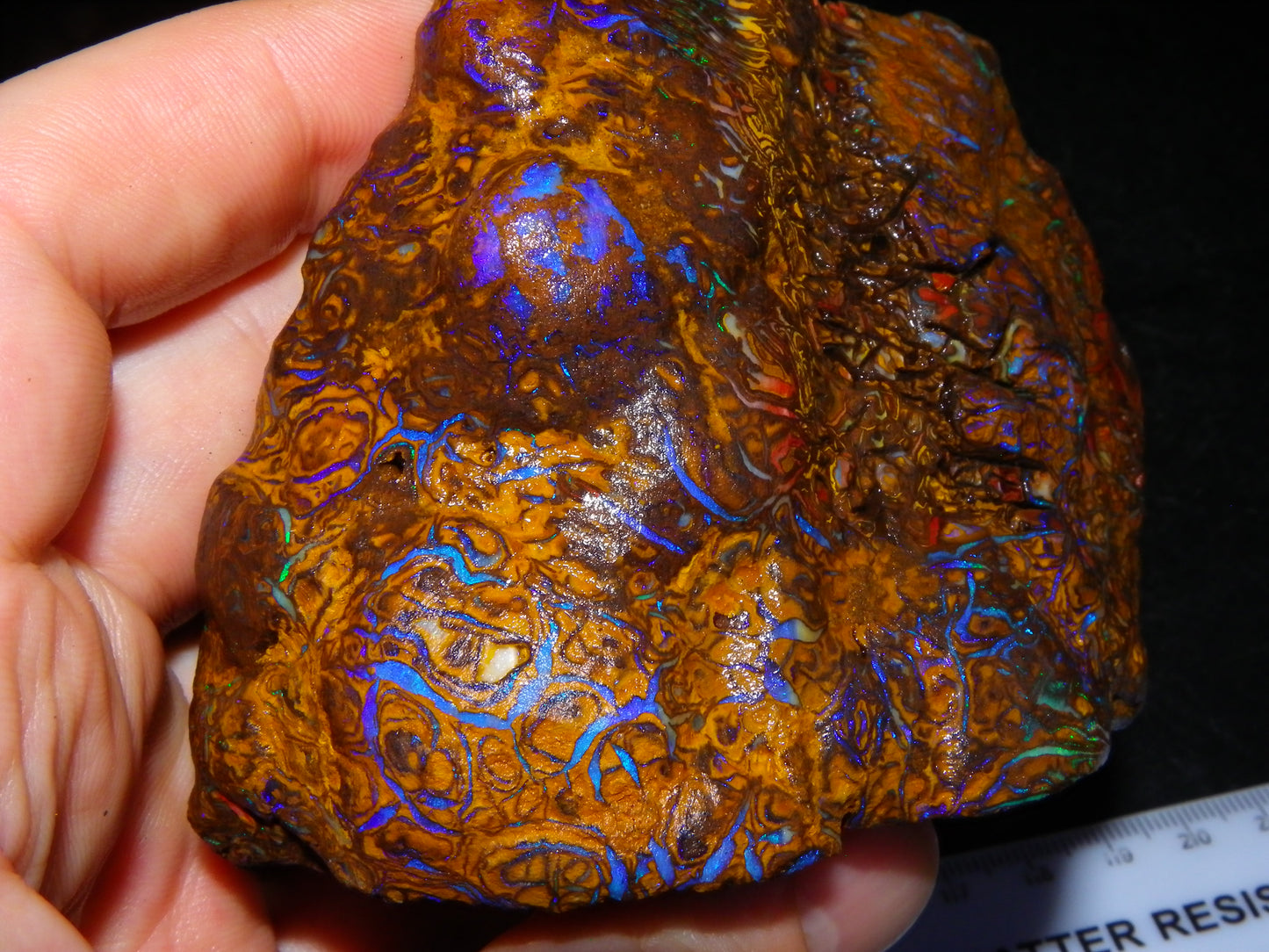 Huge, Gem Rough/Rubbed Koroit Opal Specimen 2170cts (434grams) Fires/Patterns Queensland Australia