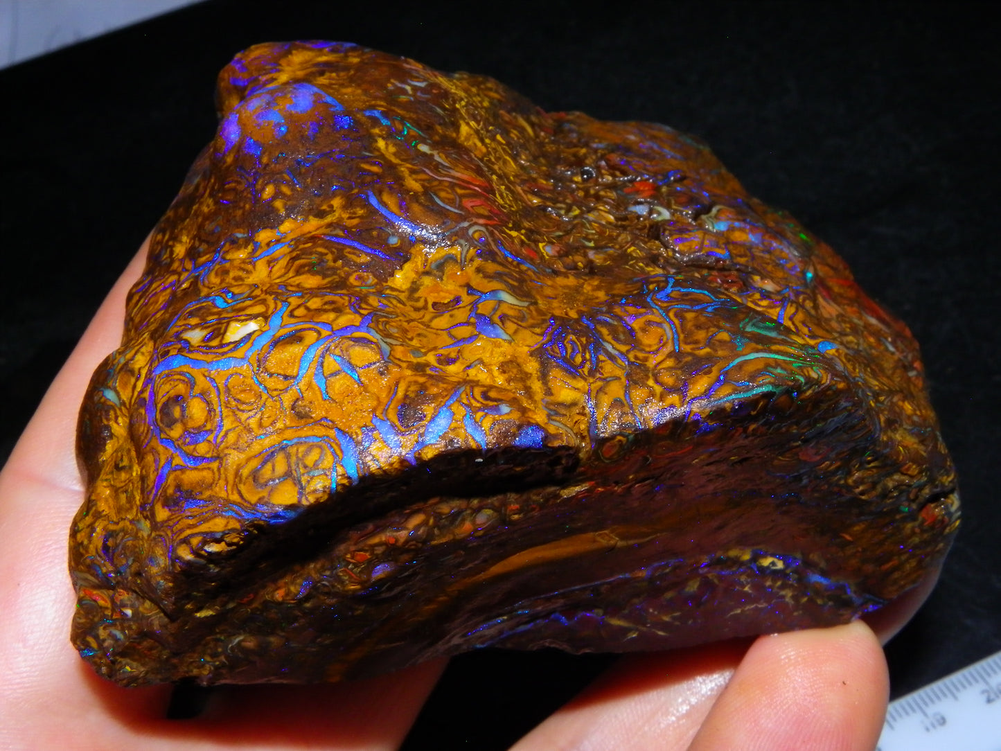 Huge, Gem Rough/Rubbed Koroit Opal Specimen 2170cts (434grams) Fires/Patterns Queensland Australia