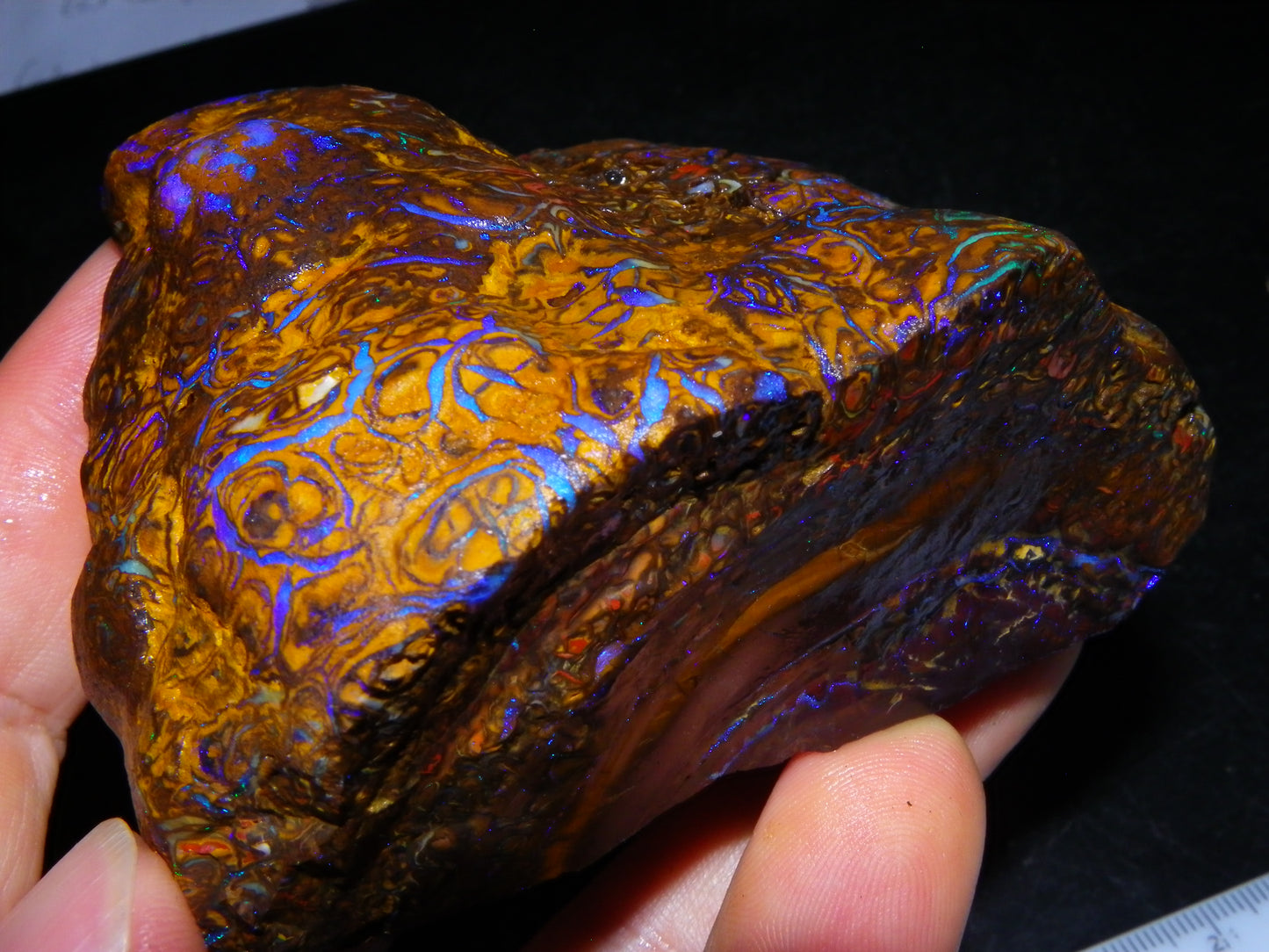 Huge, Gem Rough/Rubbed Koroit Opal Specimen 2170cts (434grams) Fires/Patterns Queensland Australia