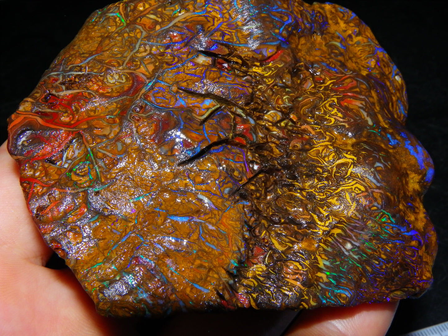 Huge, Gem Rough/Rubbed Koroit Opal Specimen 2170cts (434grams) Fires/Patterns Queensland Australia