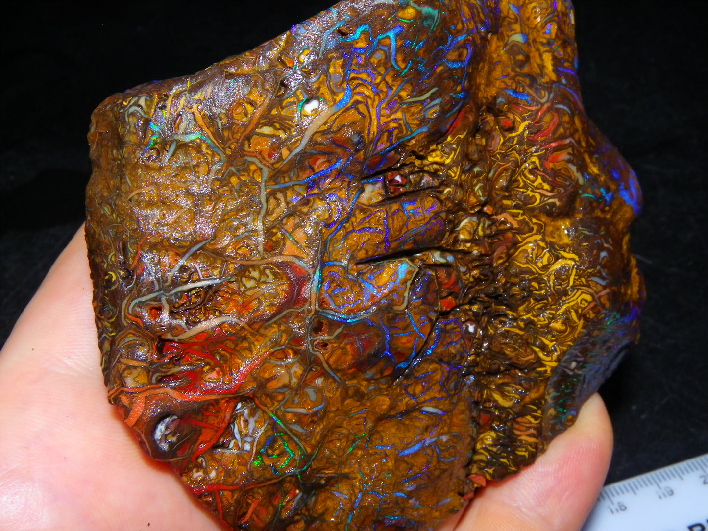 Huge, Gem Rough/Rubbed Koroit Opal Specimen 2170cts (434grams) Fires/Patterns Queensland Australia