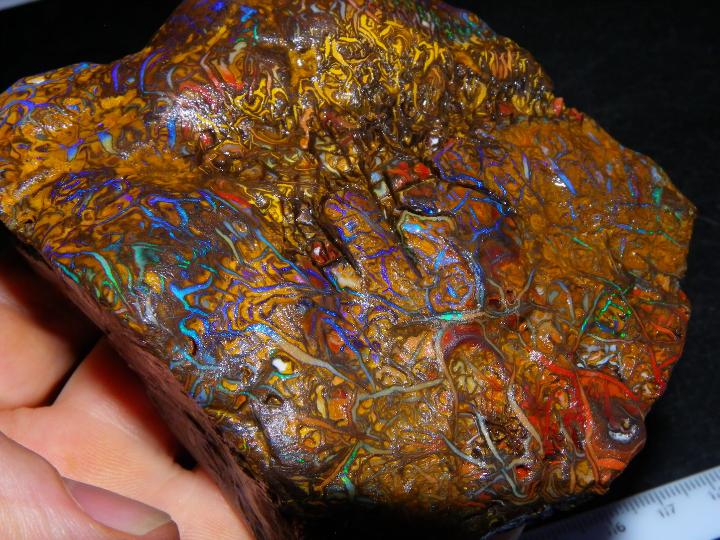 Huge, Gem Rough/Rubbed Koroit Opal Specimen 2170cts (434grams) Fires/Patterns Queensland Australia