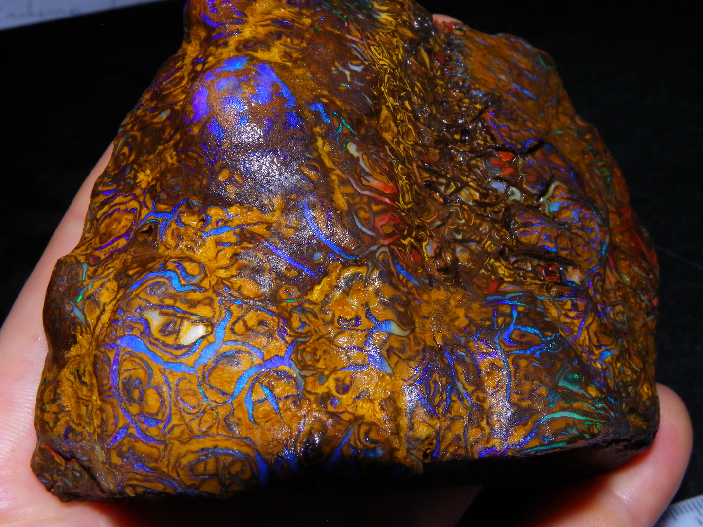 Huge, Gem Rough/Rubbed Koroit Opal Specimen 2170cts (434grams) Fires/Patterns Queensland Australia