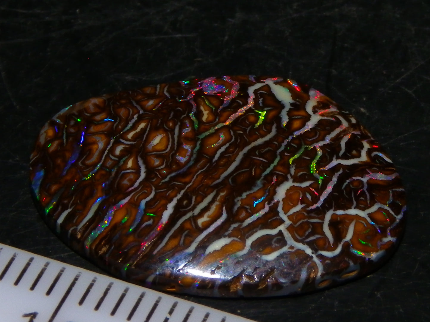 Superb Cut/Polished Koroit Opal Cab 12.6cts Patterns/Fires Red/Greens Qld Au