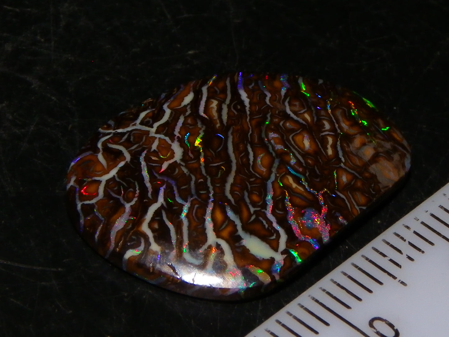 Superb Cut/Polished Koroit Opal Cab 12.6cts Patterns/Fires Red/Greens Qld Au