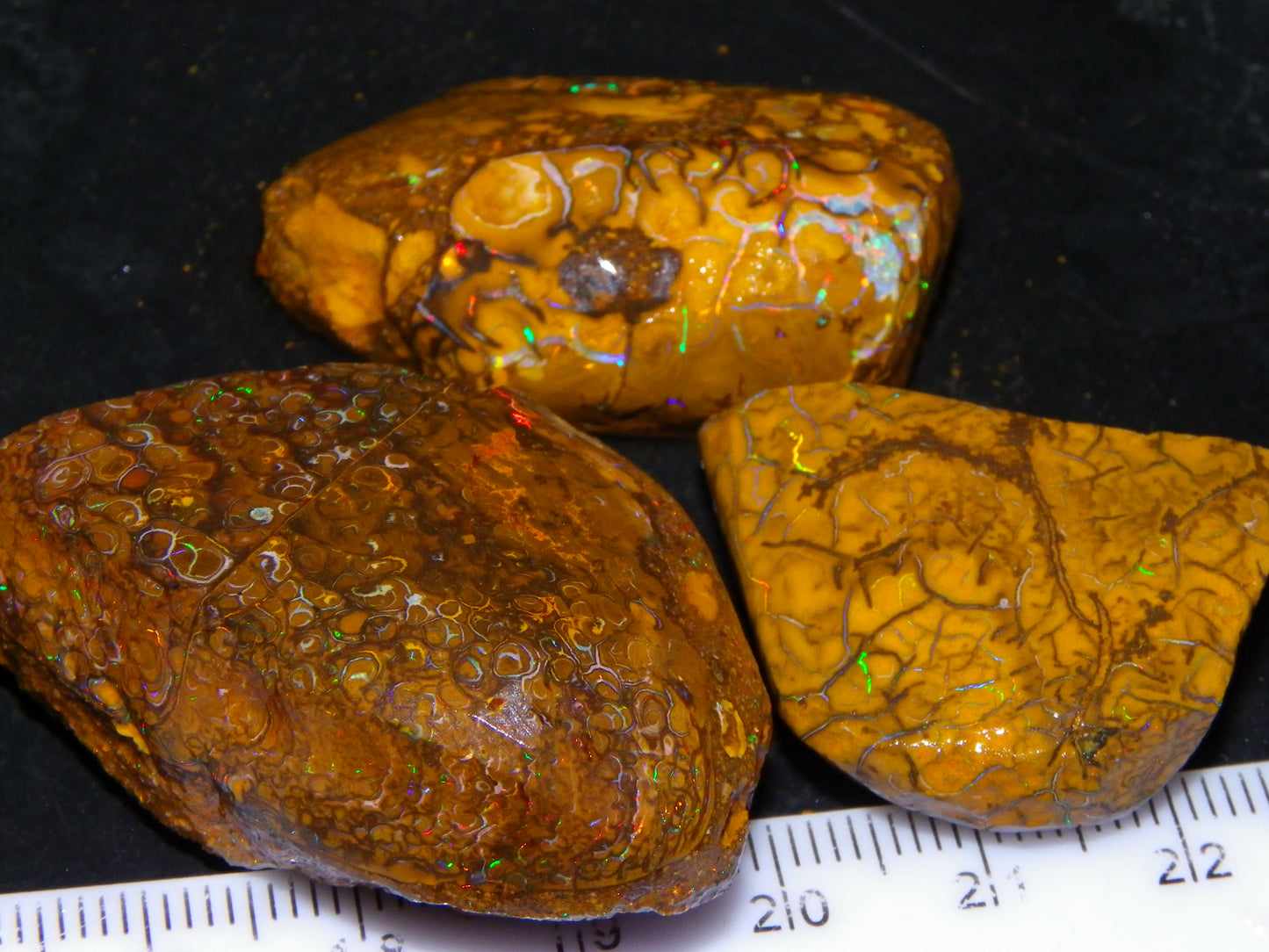 3 Nice Rubbed/Rough Koroit Opals 240cts Patterns/Fires Red/Orange/Greens Qld Au