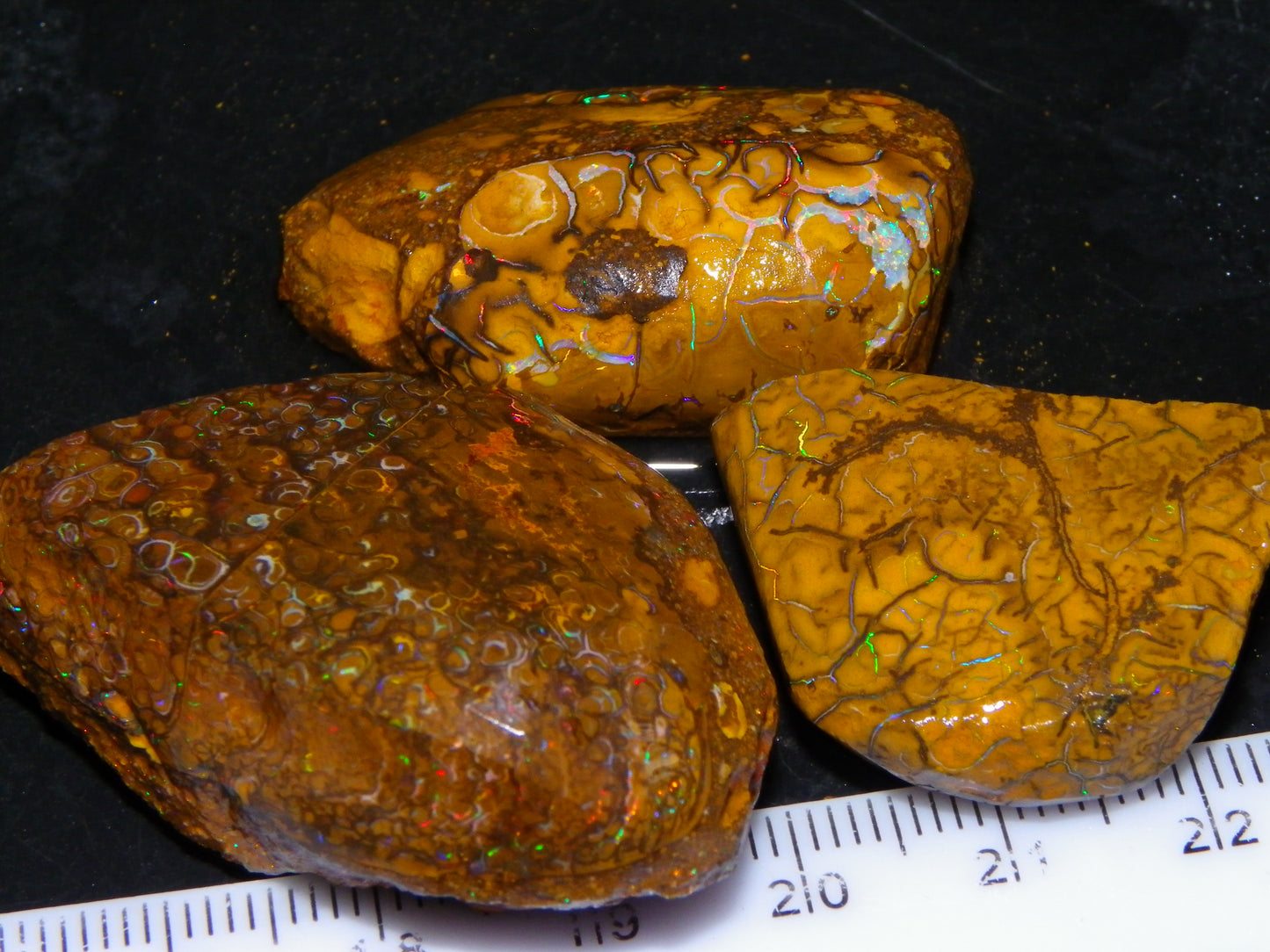 3 Nice Rubbed/Rough Koroit Opals 240cts Patterns/Fires Red/Orange/Greens Qld Au