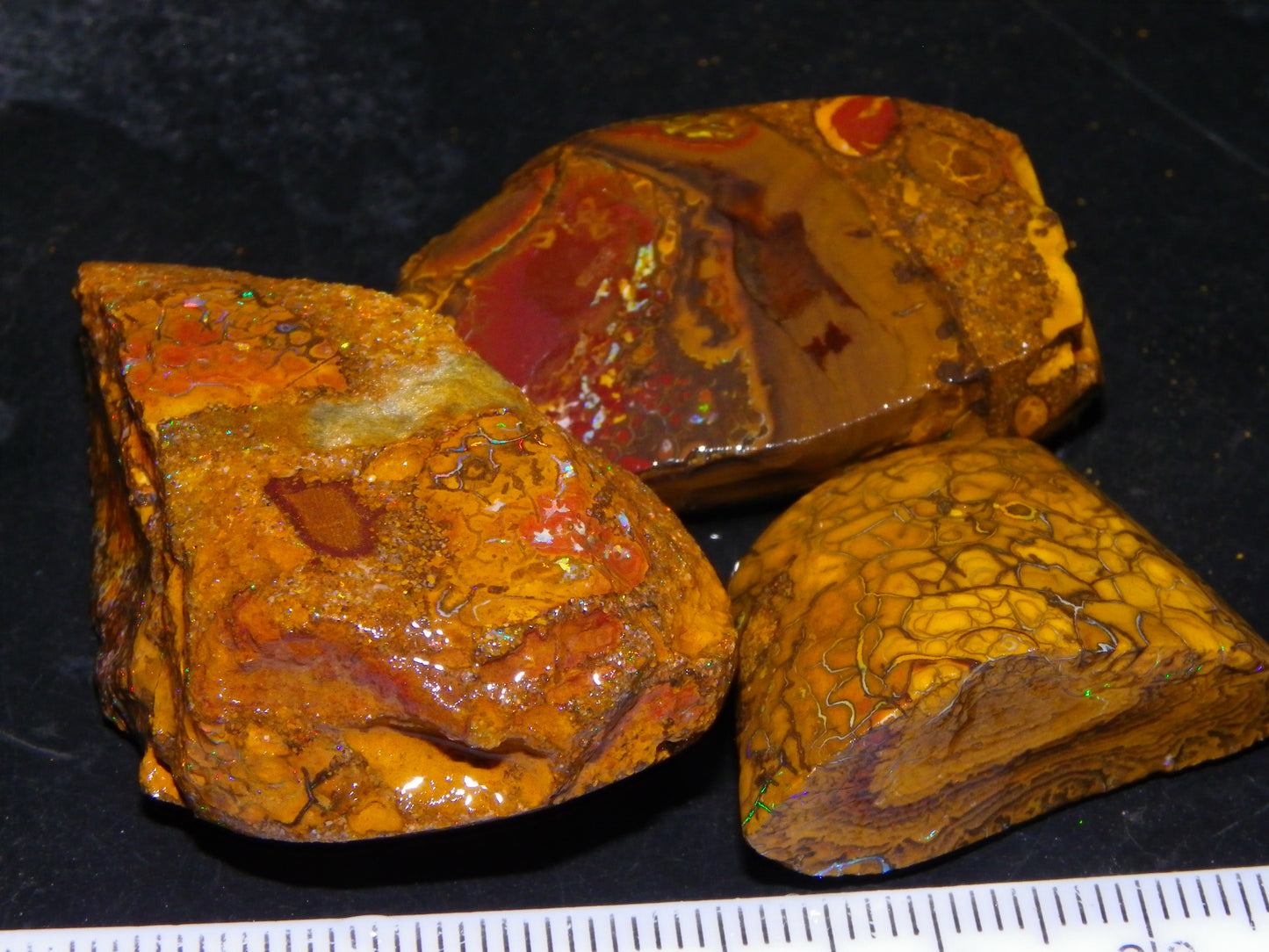 3 Nice Rubbed/Rough Koroit Opals 240cts Patterns/Fires Red/Orange/Greens Qld Au