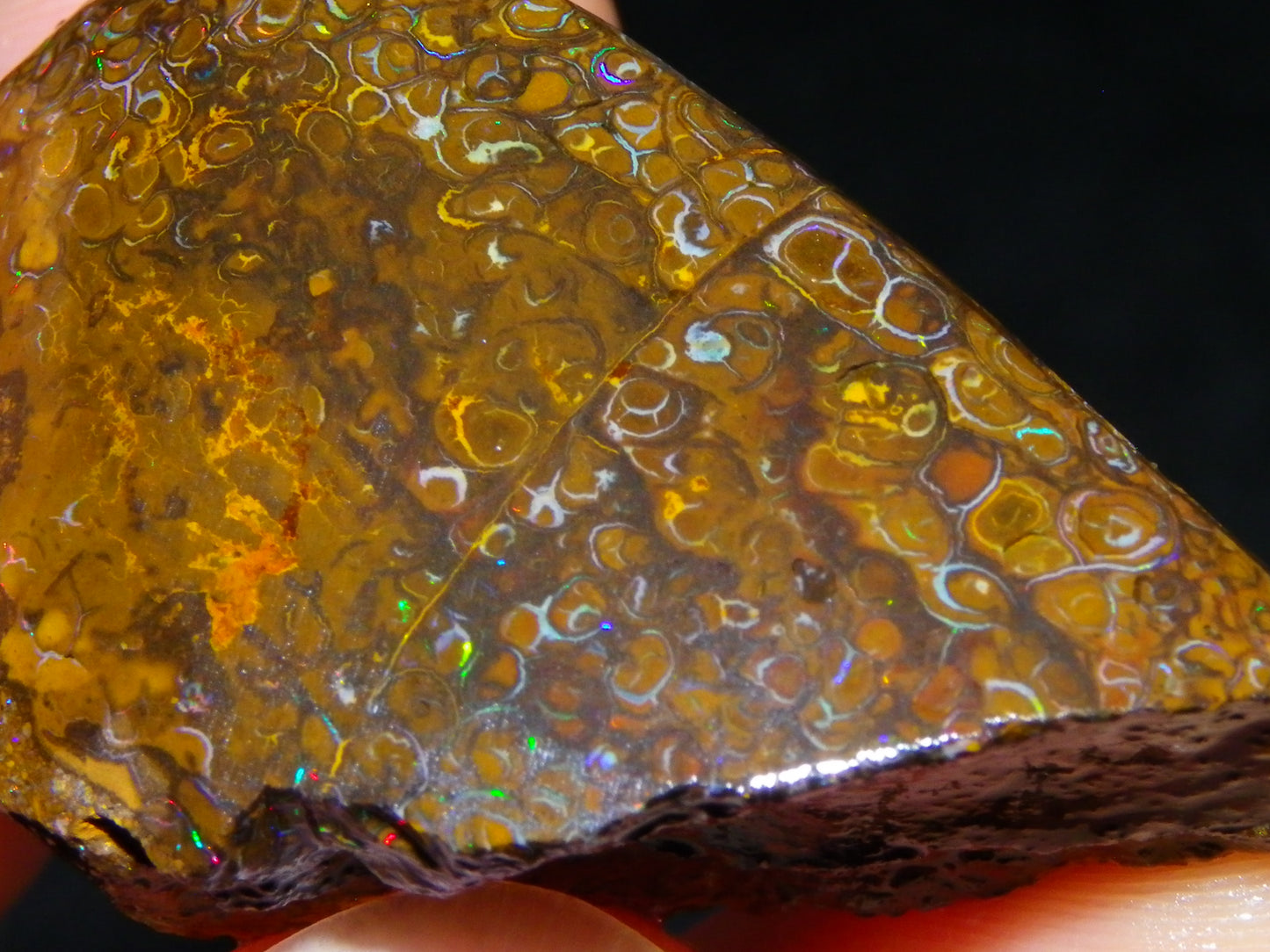 3 Nice Rubbed/Rough Koroit Opals 240cts Patterns/Fires Red/Orange/Greens Qld Au