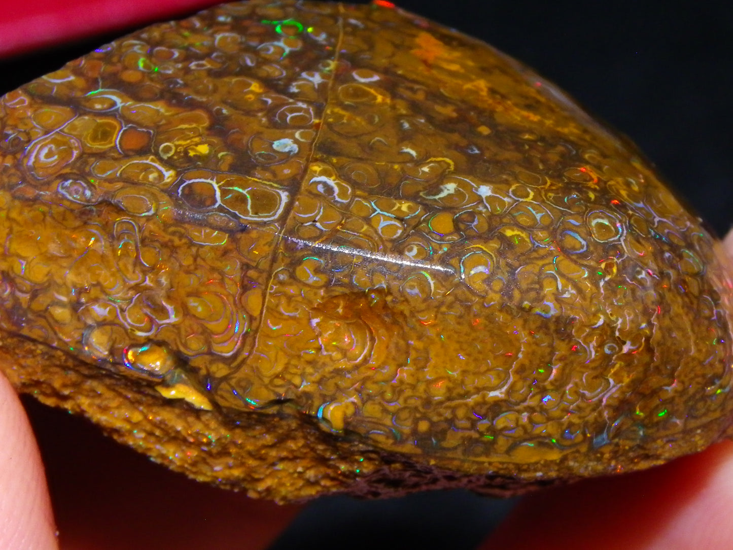 3 Nice Rubbed/Rough Koroit Opals 240cts Patterns/Fires Red/Orange/Greens Qld Au
