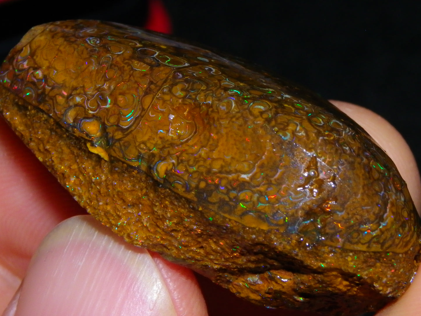 3 Nice Rubbed/Rough Koroit Opals 240cts Patterns/Fires Red/Orange/Greens Qld Au