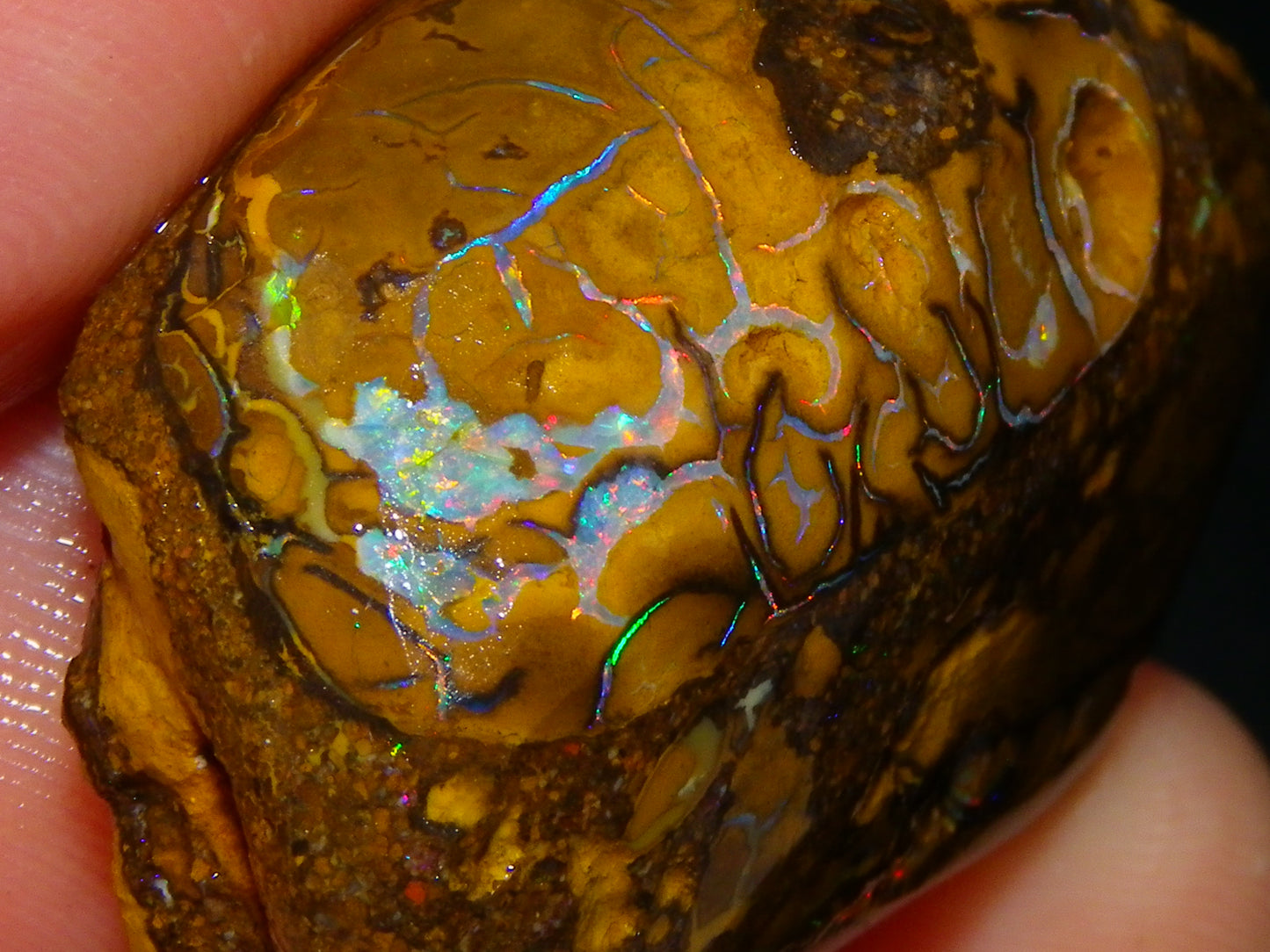 3 Nice Rubbed/Rough Koroit Opals 240cts Patterns/Fires Red/Orange/Greens Qld Au