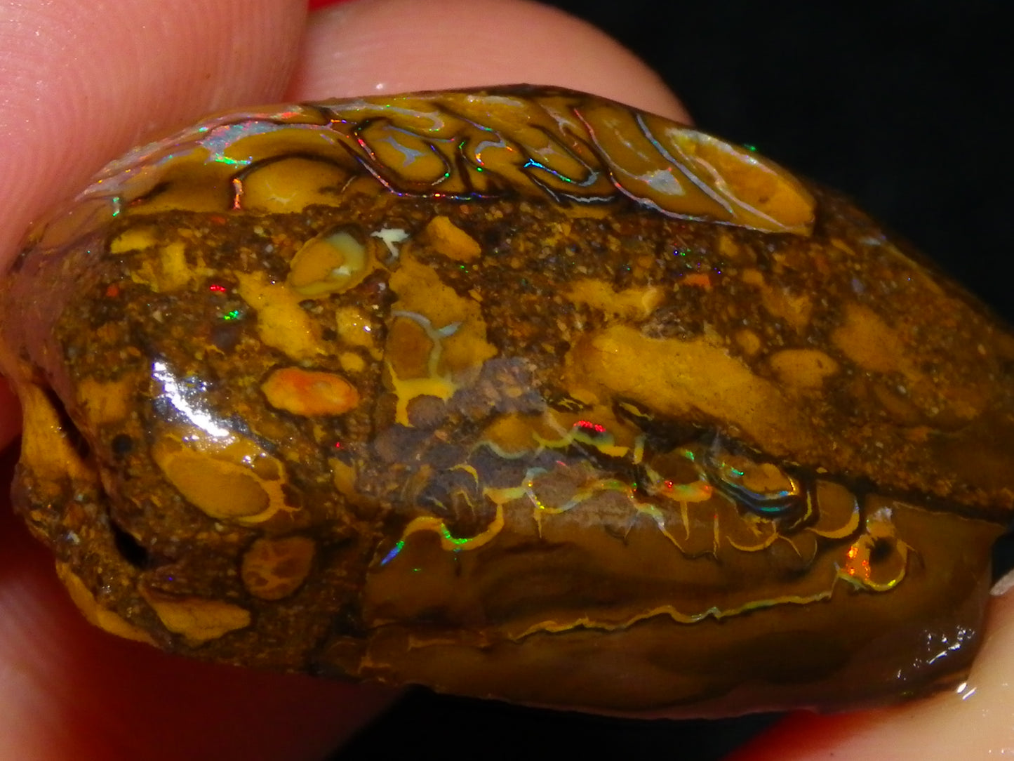 3 Nice Rubbed/Rough Koroit Opals 240cts Patterns/Fires Red/Orange/Greens Qld Au